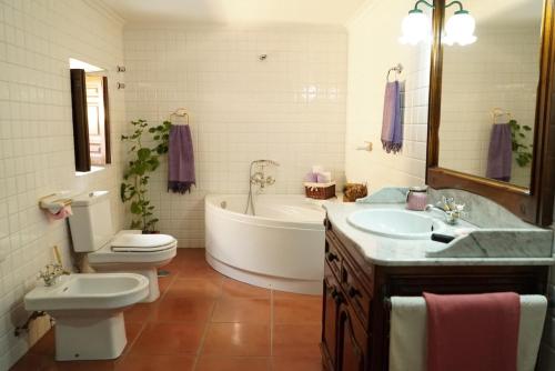 y baño con bañera, aseo y lavamanos. en Palacete Magistral Domínguez habitaciones, en Guadix