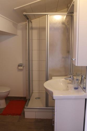 y baño con ducha y lavamanos. en Gasthof-Cafe-Risano en Haslach an der Mühl