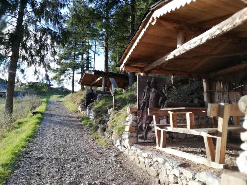 Fotografie z fotogalerie ubytování Hotel Albergo Giannina v destinaci Vigo di Cadore
