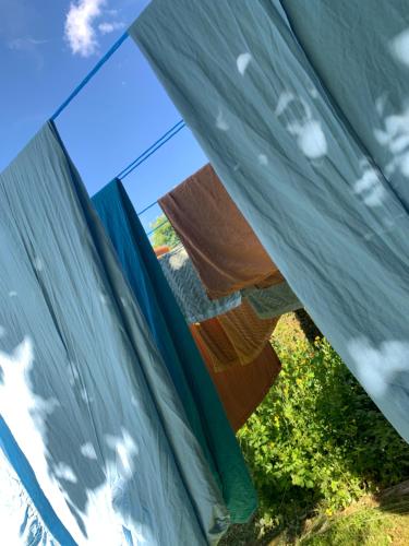 Photo de la galerie de l'établissement Silver Trees - Glamping, à Fresse-sur-Moselle