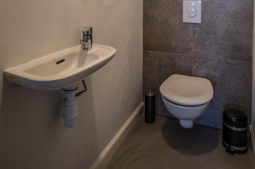 a bathroom with a sink and a toilet at ParaLodge in Saint-Vincent-les-Forts