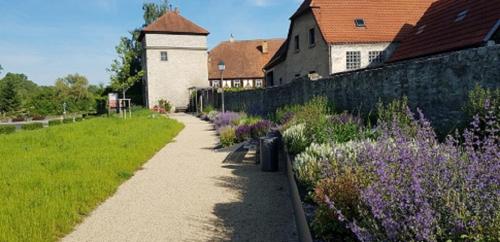 Zahrada ubytování Ferienwohnung An der Dorfmauer