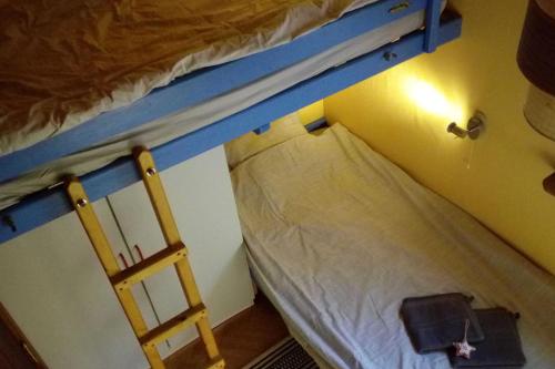 2 stapelbedden in een kamer met een ladder bij Chalet Siësta is rust & natuur in Durbuy - Barvaux-sur-Ourthe in Durbuy