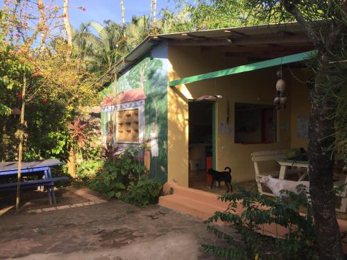 mały domek z psem stojącym przed nim w obiekcie Fata Morgana Eco Hotel w mieście Las Terrenas