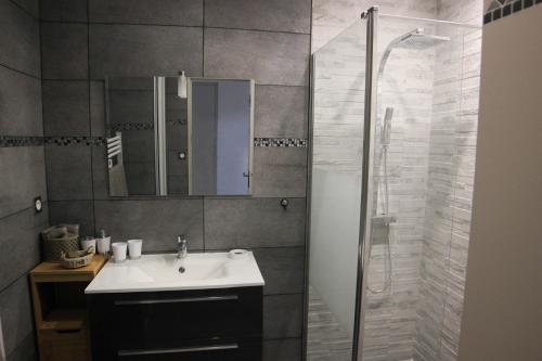 une salle de bain avec un lavabo et une douche dans l'établissement APPARTEMENT PROVENCE HEUREUSE, à Saint-Cyr-sur-Mer