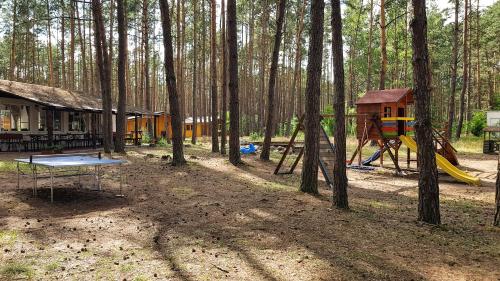 a park with a playground and a house in the woods at Ośrodek Wypoczynkowy Nad Brdą in Tuchola