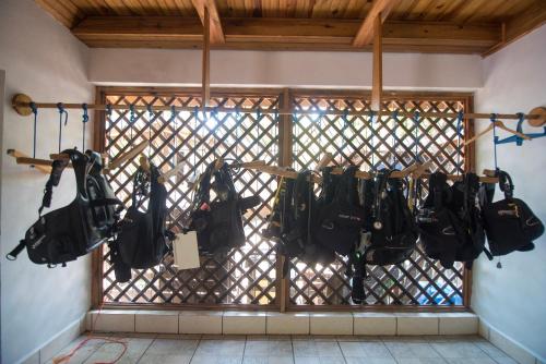 a room with a bunch of bags hanging on a wall at Wikkid Resort in Dixon Cove