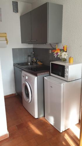 cocina con lavadora y microondas en Studio cabine au barcares, en Le Barcarès