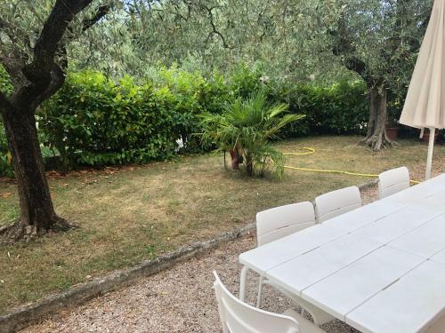 Ein Garten an der Unterkunft Casa Lazise