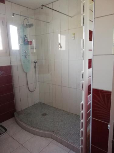 une salle de bain avec une douche avec une porte vitrée dans l'établissement Chambre privée calme,campagne,étape,déplacement pro,abri moto vélo,parking, à Vaux-sur-Vienne