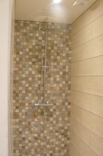 La salle de bains est pourvue d'une douche et d'un mur carrelé. dans l'établissement Le fief Beaurepaire 76280, à Beaurepaire