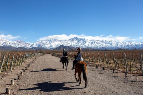 two people riding horses down a road in a vineyard at Casa de Uco Vineyards and Wine Resort in Los Árboles