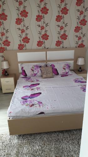 Ảnh trong thư viện ảnh của Apartament Razvan ở Saturn