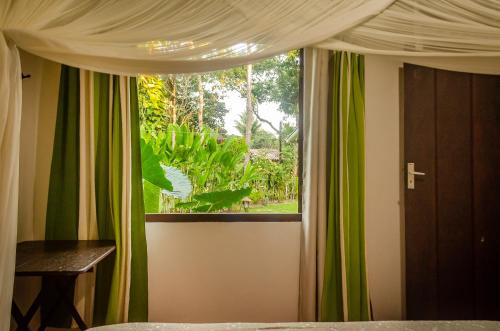 a bedroom with a window with green and white curtains at Espaço Pégasus in Trancoso