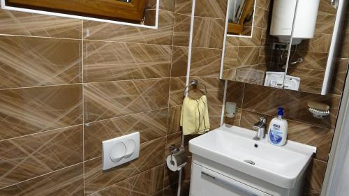 a small bathroom with a sink and a mirror at Apartment Kraljica Jelena in Virpazar