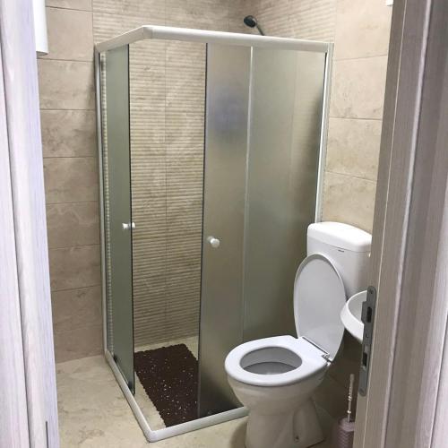 a bathroom with a toilet and a glass shower stall at Casa Calda Apartments in Cetinje