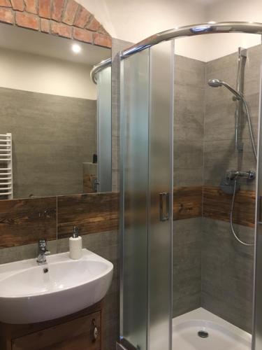 a bathroom with a sink and a shower at Apartamenty Lawenda in Rabka