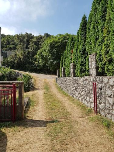 Ein Garten an der Unterkunft Kuca Pavle Trsteno