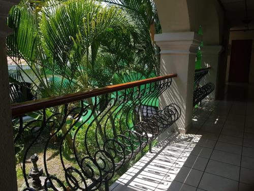 a wrought iron fence with plants in a yard at Hotel Villa Serena Escalon in San Salvador
