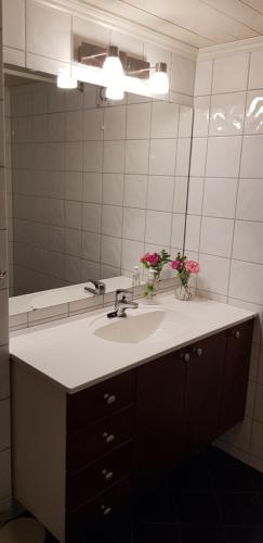 a bathroom with a sink and a large mirror at Irenegarden - Panorama apartment in Lauvstad