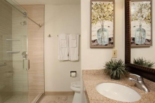 a bathroom with a sink and a toilet and a shower at Quality Inn Oakwood in Spokane