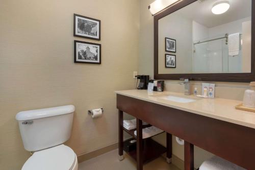 a bathroom with a toilet and a sink with a mirror at Comfort Inn & Suites Fayetteville-University Area in Fayetteville