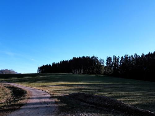 a dirt road leading to a large grass field at modernes Appartement Schwarzwald Nähe Freiburg in Winden im Elztal