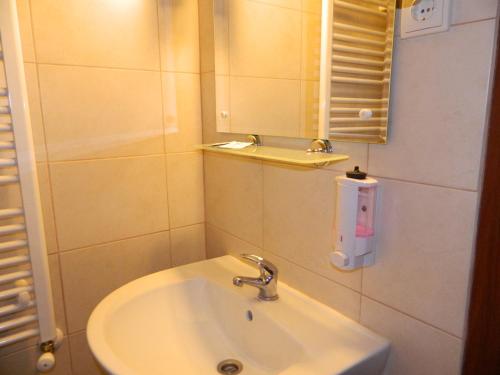 a bathroom with a sink and a mirror at Hotel Restaurant La Conac in Botiz