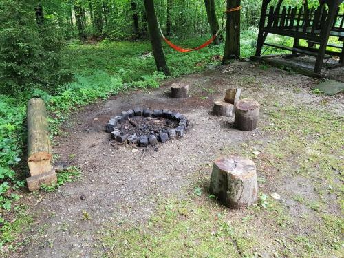 a fire pit in the middle of a forest at Slovak cottage near Bratislava in the heart of the Carpathians in Modra
