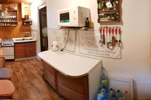 a kitchen with a counter with a microwave on the wall at Slovak cottage near Bratislava in the heart of the Carpathians in Modra