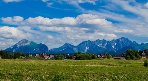 a field with a mountain range in the background at U Pawlikowskich in Poronin