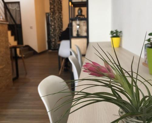 een tafel en stoelen met een roze bloem erop bij 360 Coffee Homestay in Nantou-stad