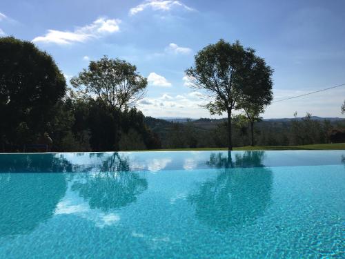 a blue swimming pool with a tree in the background at Podere Casanova in Montespertoli