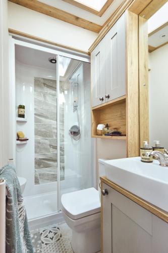 a bathroom with a shower and a toilet and a sink at Platinum Holiday Caravan in Bothel