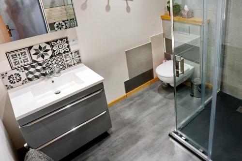uma casa de banho com um lavatório, um chuveiro e um WC. em CHALET HOTEL La TUVIERE BIKE INN em Saint-Jean-de-Maurienne
