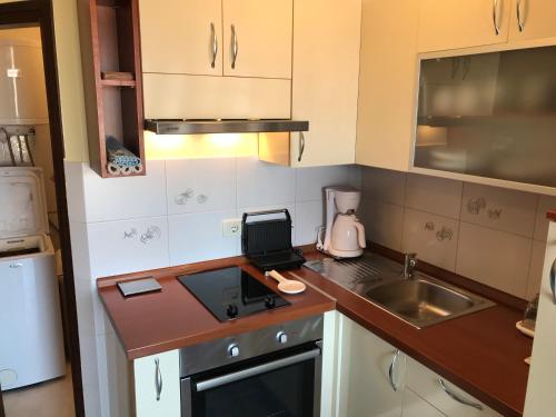 a small kitchen with a sink and a counter top at Studio Apartman Lorenzo in Umag