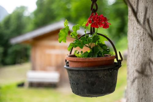 a flower pot hanging on a wall with a red flower at Hotel Siror in Fiera di Primiero