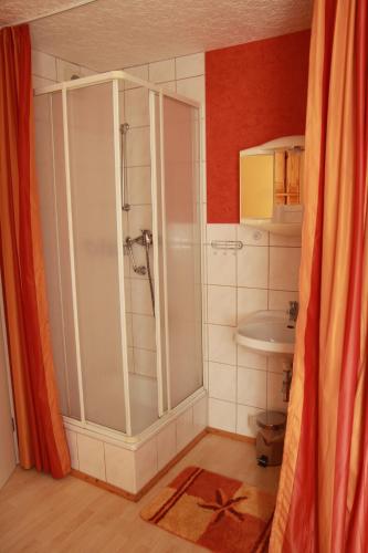 ein Badezimmer mit Dusche und Waschbecken in der Unterkunft Ferienwohnung im Herzen des Nationalparks in Hohnstein