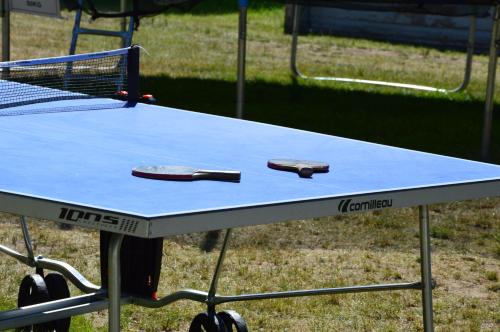 Pingisbord vid eller i närheten av Delta Plius