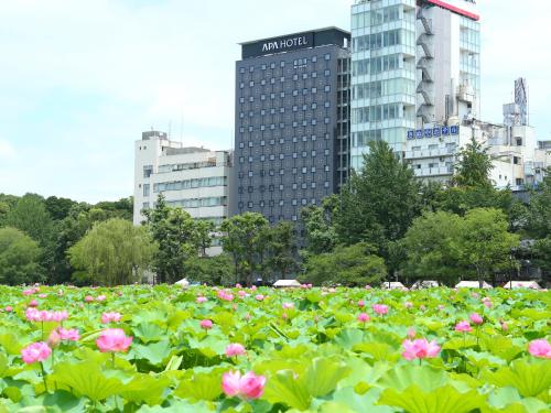 um campo de flores cor-de-rosa em frente aos edifícios em APA Hotel Keisei Ueno Ekimae em Tóquio