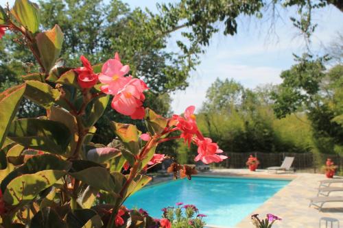 - une piscine bordée de fleurs roses dans l'établissement Gites Domaine de Ceyrac, à Conqueyrac