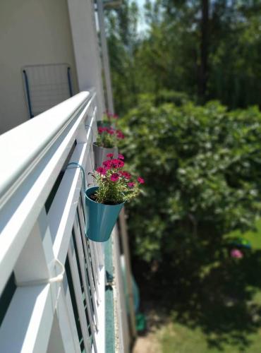 a flower pot on a balcony with flowers in it at Apartman Natura vita Blagaj in Blagaj