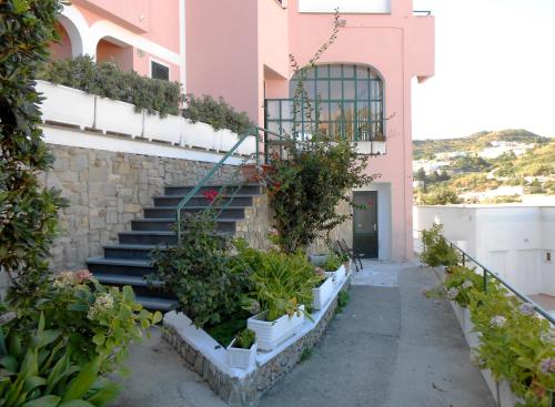 Φωτογραφία από το άλμπουμ του Albergo Le Querce σε Ponza