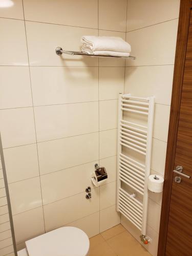 a small bathroom with a toilet and a shower at Apartments B229 & B230 in Aparthotel Vucko, Jahorina -private host in Jahorina