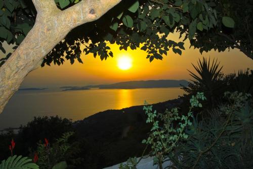 a sunset over the water with a tree at Villa Maria O in Skopelos Town