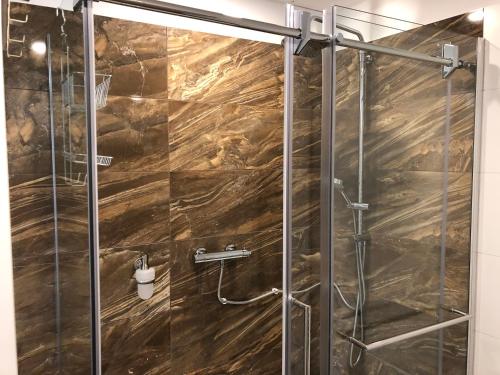 a shower with a glass door in a bathroom at Villa Acernis in Postojna