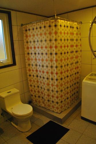 a bathroom with a toilet and a shower curtain at Martín Pescador Cabañas in Coihaique