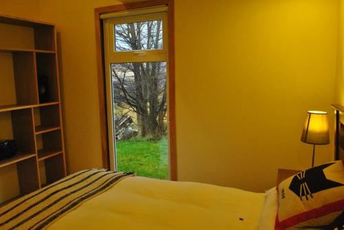 a bedroom with a window looking out at a tree at Martín Pescador Cabañas in Coihaique