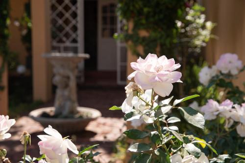 Κήπος έξω από το Roses and Pebbles B & B Guest House
