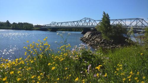 a bridge over a river with flowers in the foreground at Park Hotel Tornio in Tornio